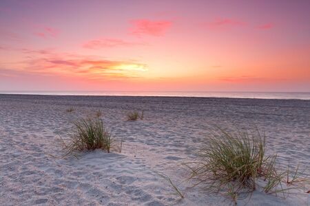 Sunset over Florida coastline. Fernandina beach, Florida, USAの写真素材