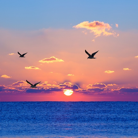 Red rising sun above the dark blue sea with seagullsの写真素材