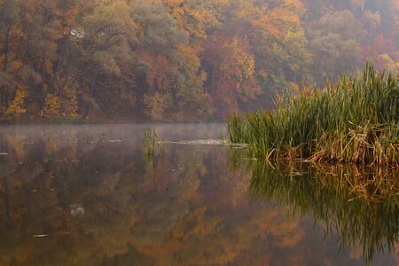 Misty morning on autumn lakeの写真素材