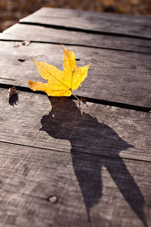 Leaf at wooden background