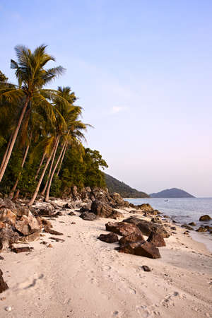 Tropical beach. Koh Samui, Thailandの写真素材