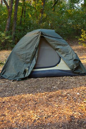 Green tent in the forest. Camping conceptの写真素材