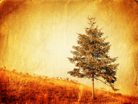 Vintage style photo of lonely tree on the mountain hillの写真素材