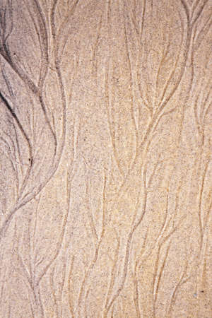 sand backgroundの写真素材