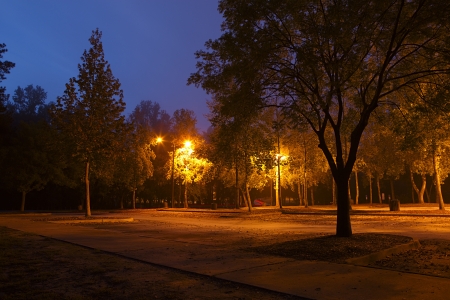 Early morning parkの写真素材