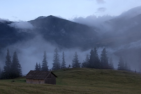 Carpathian mountains after rain, Ukraineの写真素材