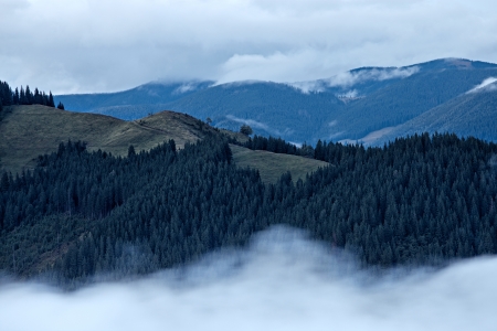 Foggy landscape of Carpathian mountains, Ukraineの写真素材