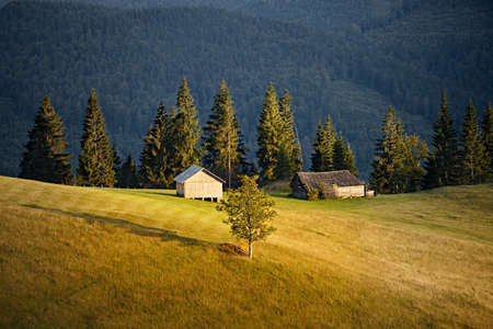 Carpathian mountain hills. Carpathian mountains, Ukraine