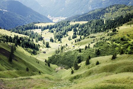 alpine green valley in the springtime の写真素材
