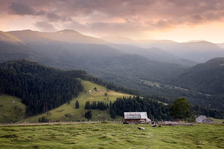 Carpathian mountains rural landscape. Carpathian mountains, Ukraineの写真素材
