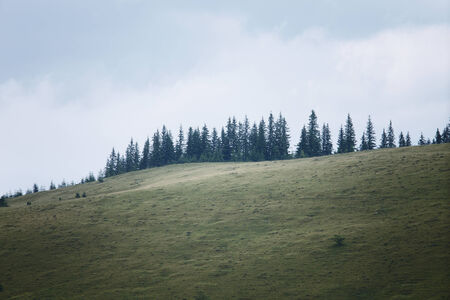 Mountains rural landscape at the rain. Carpathian mountains, Ukraineの写真素材
