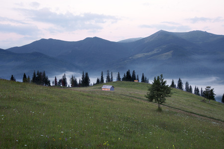 Mountains rural landscape before sunrise. Carpathian mountains, Ukraineの写真素材