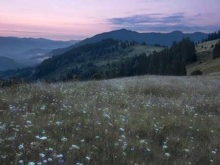 Mountains rural landscape before sunrise. Carpathian mountains, Ukraineの写真素材