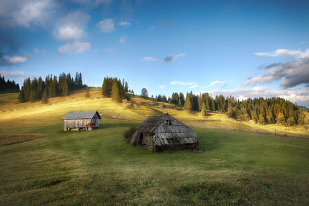 Carpathian mountain sunny hills. Carpathian mountains, Ukraineの写真素材
