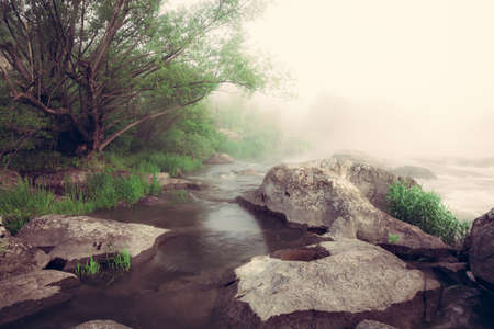 Vintage image of foggy river morningの写真素材