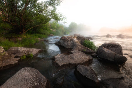 Foggy river morningの写真素材