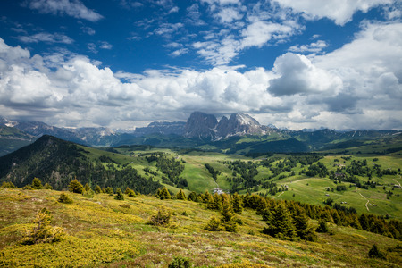 Panorama of Alpe di Suisi at sunny day, Dolomites mountains, Italyの写真素材