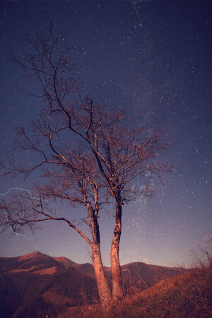 Retro style photo of starry night over mountain hillsの写真素材