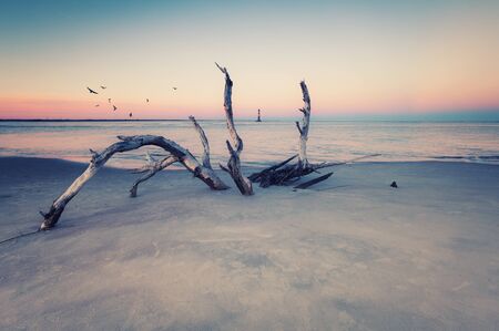 Morris Island Lighthouse at sunset, South Carolina, USA