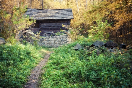 Old mill in autumn forestの写真素材