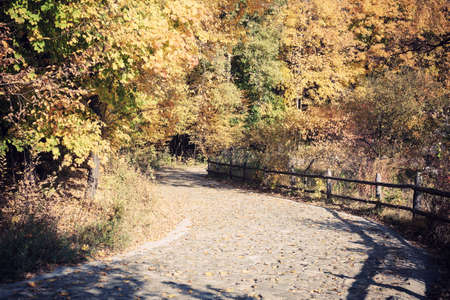 Countryside autumn viewの写真素材