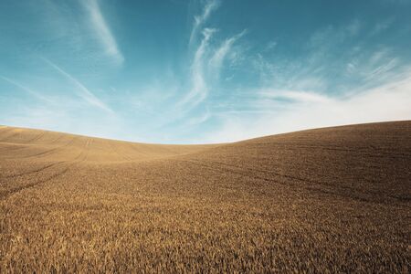 Autumn color grass and blue sky backgroundの写真素材