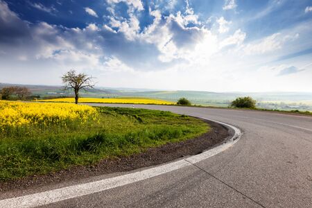 Beautiful sunny countryside landscapeの写真素材