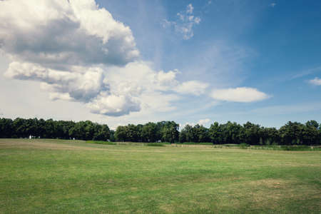 Green grass lawn at sunny dayの写真素材