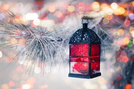 Red lantern on the snowy treeの写真素材