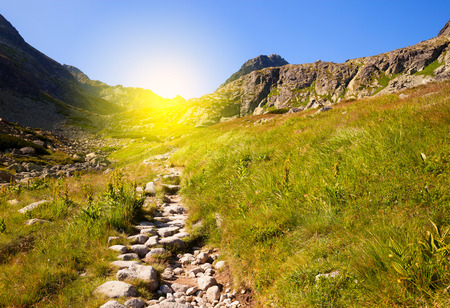 Mountain path at sunny dayの写真素材