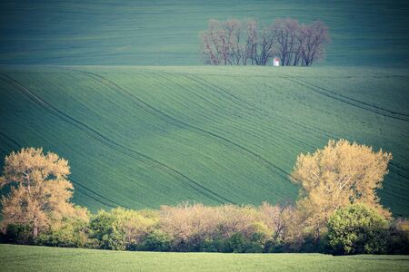 Rolling hills and green grass fieldsの写真素材