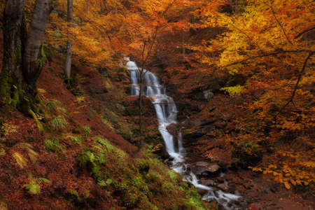 Waterfall at autumn forestの写真素材