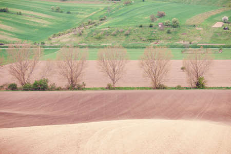 Countryside farmland landscapeの写真素材