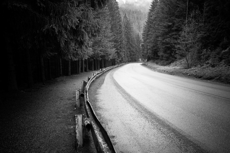 Road through the dark forest. Mountain landscapeの写真素材