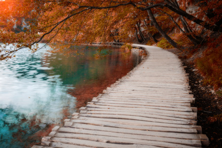 Wooden path across beautiful lake in sunny autumn forestの写真素材