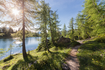 Alpine mountain summer lake at sunny day. Dolomites Alps, Italyの写真素材
