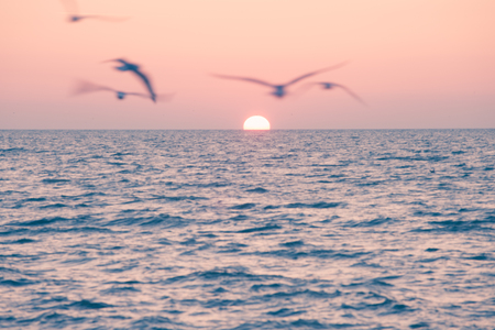 Florida Atlantic ocean beach sunrise seascapeの写真素材