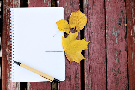 Blank notepad and pencil on the wooden background with autumn leafの写真素材