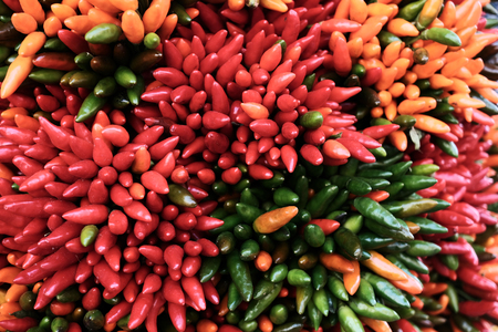 Red and green chilli paper backgroundの写真素材