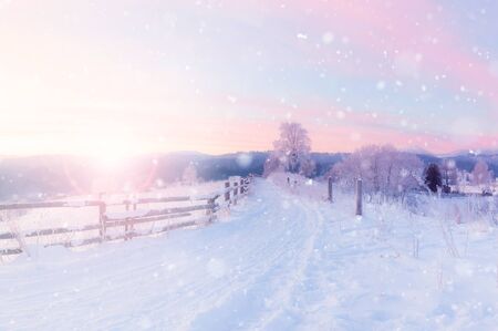 Panorama of winter mountain snowy hills
