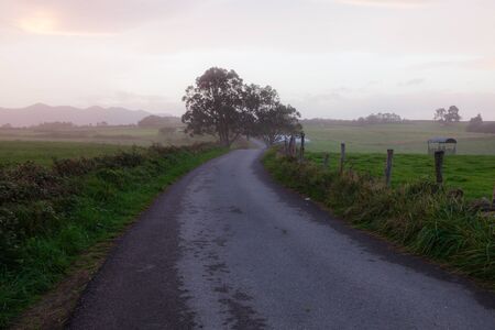 Misty countryside road. Foggy morning landscape with road and tree at early morningの写真素材
