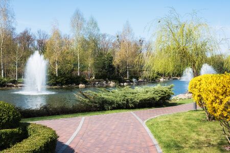 The fountain on the lake in the park.の写真素材