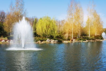 The fountain on the lake in the park.の写真素材