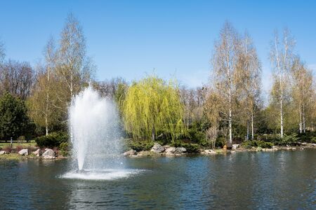 The fountain on the lake in the park.の写真素材