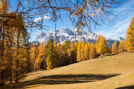 Gorgeous sunny view of Dolomite Alps with yellow larch trees. Colorful autumn panorama view landscape. Italyの写真素材