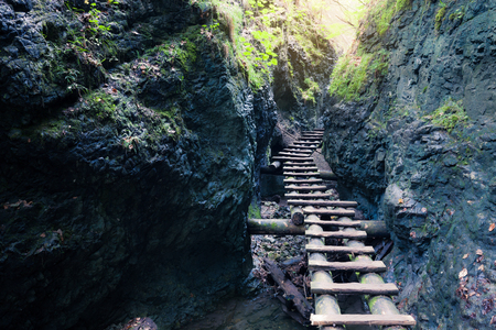 Rocky canyon with mountain river and a wooden staircase. Slovak National Paradise Park, Slovakia.の写真素材