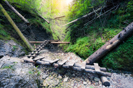 Rocky canyon with mountain river and a wooden staircase. Slovak National Paradise Park, Slovakia.の写真素材