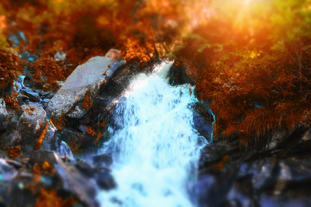 Beautiful waterfall at mountain river in colorful autumn forest with red and orange leaves at sunset. Nature landscapeの写真素材