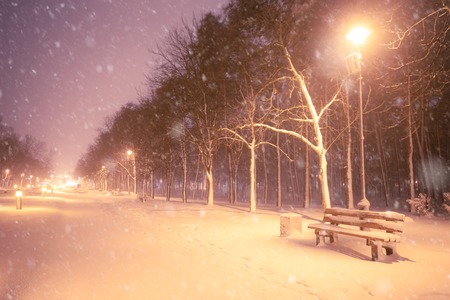 Night winter snowfall landscape. Snowy alley of city illuminated parkの写真素材
