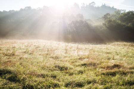 beautiful panorama landscape with sun and forest and meadow at sunrise. sun rays shine through trees.の写真素材